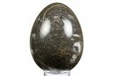 Polished Fossil Horn Coral Egg - Idaho #334190-1